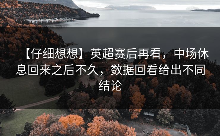 【仔细想想】英超赛后再看，中场休息回来之后不久，数据回看给出不同结论